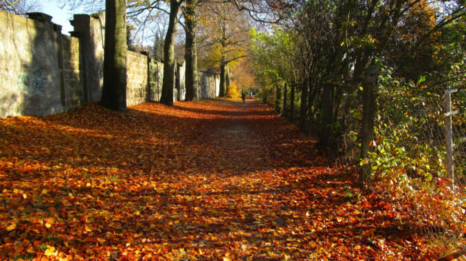 Herbst-Koenigshufen-Goerlitz-am-Friedhof Herbst-Koenigshufen-Goerlitz