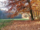 Herbst-Loenscher-Park-Goerlitz-grosse-Wiese