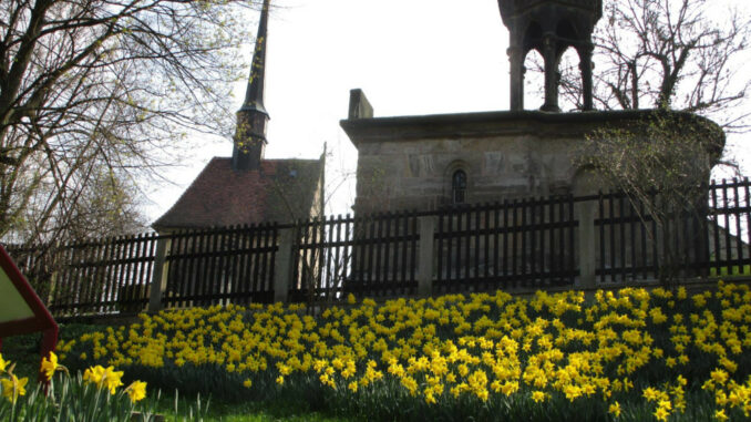 Narzissen Heiliges Grab Görlitz