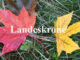 Herbstfärbung Landeskrone Görlitz