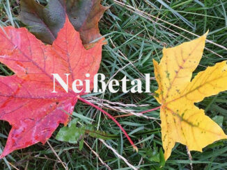 Herbstfärbung im Neißetal Görlitz