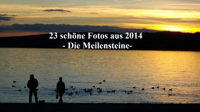 23 Meilensteine 2014