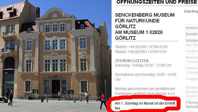 freier-eintritt-naturkundemuseum-görlitz-erster-sonntag