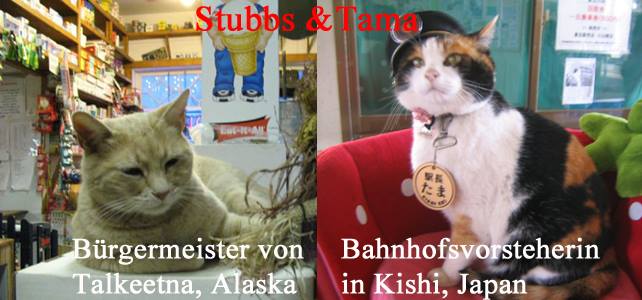 Stubbs und Tama Katzen