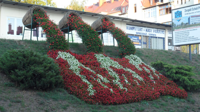 Blumenhang Zgorzelec