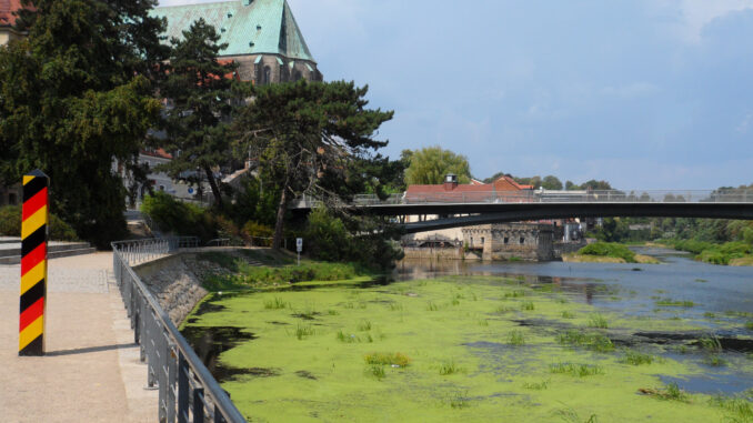 Entengrütze-Neisse-August-2018