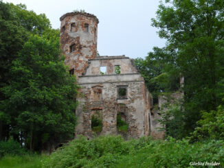 Ruine-Schloss-Hennersdorf