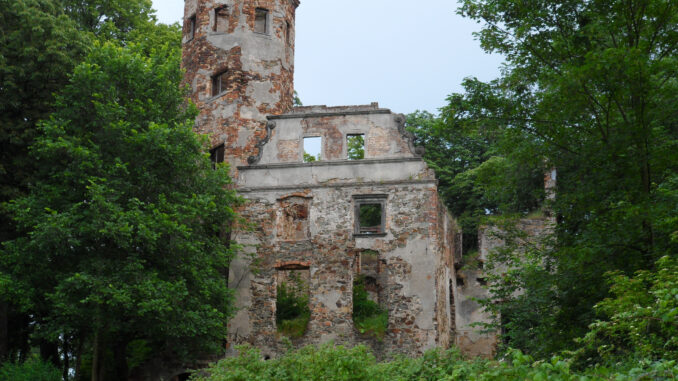 Ruine-Schloss-Hennersdorf