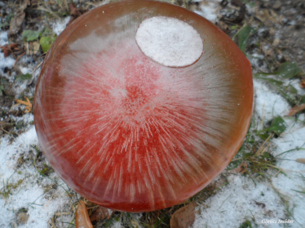 Eiskugeln basteln