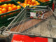 Einkaufskorb-Zgorzelec-Kaufland