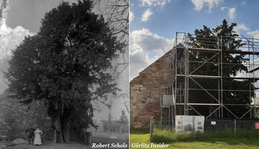 Eibe Katholisch Hennersdorf Robert scholz - Görlitz Insider