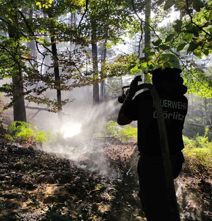 Feuerwehr-Goerlitz-August-Bad-Schandau-Waldbrand