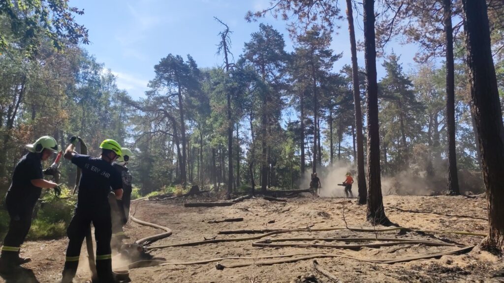 Goerlitzer-Feuerwehr-in-Bad-Schandau-Waldbrand-4.8.2022