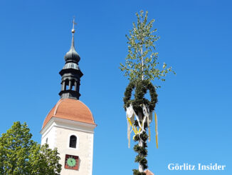 Maibaum aufstellen
