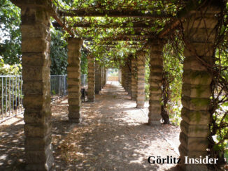 Pergola Friedenshöhe Görlitz August 2018