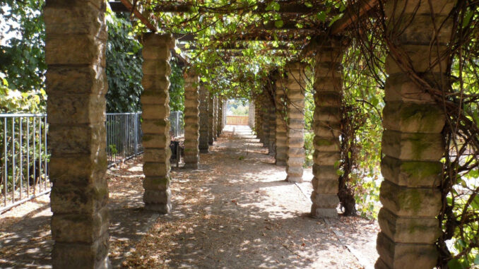Pergola Friedenshöhe Görlitz August 2018
