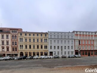 Elli ohne Bäume Südseite