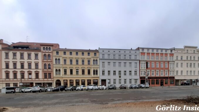 Elli ohne Bäume Südseite