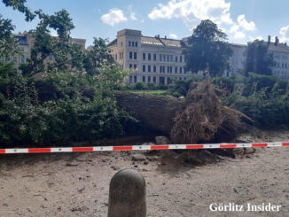 Gewitter 21-6-2026 Bäume Wilhelmsplatz 04