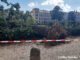 Gewitter 21-6-2026 Bäume Wilhelmsplatz 04